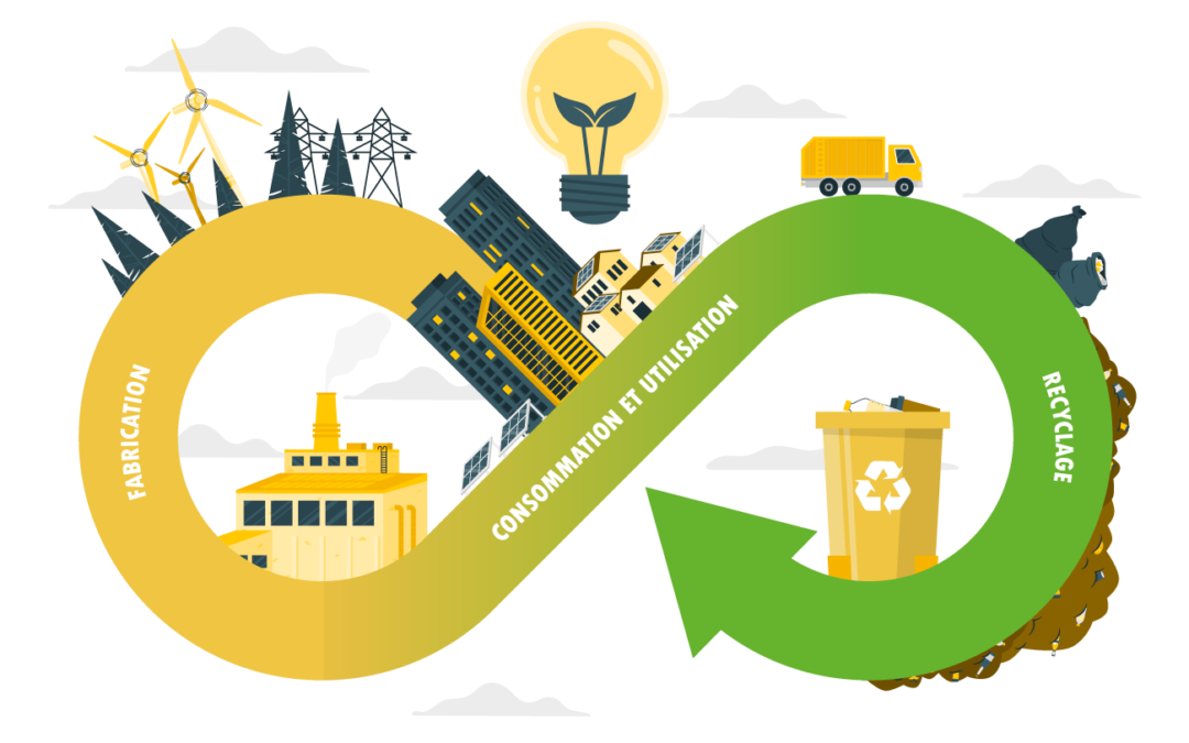 Transition écologique : comprendre l’urgence et agir dès aujourd’hui